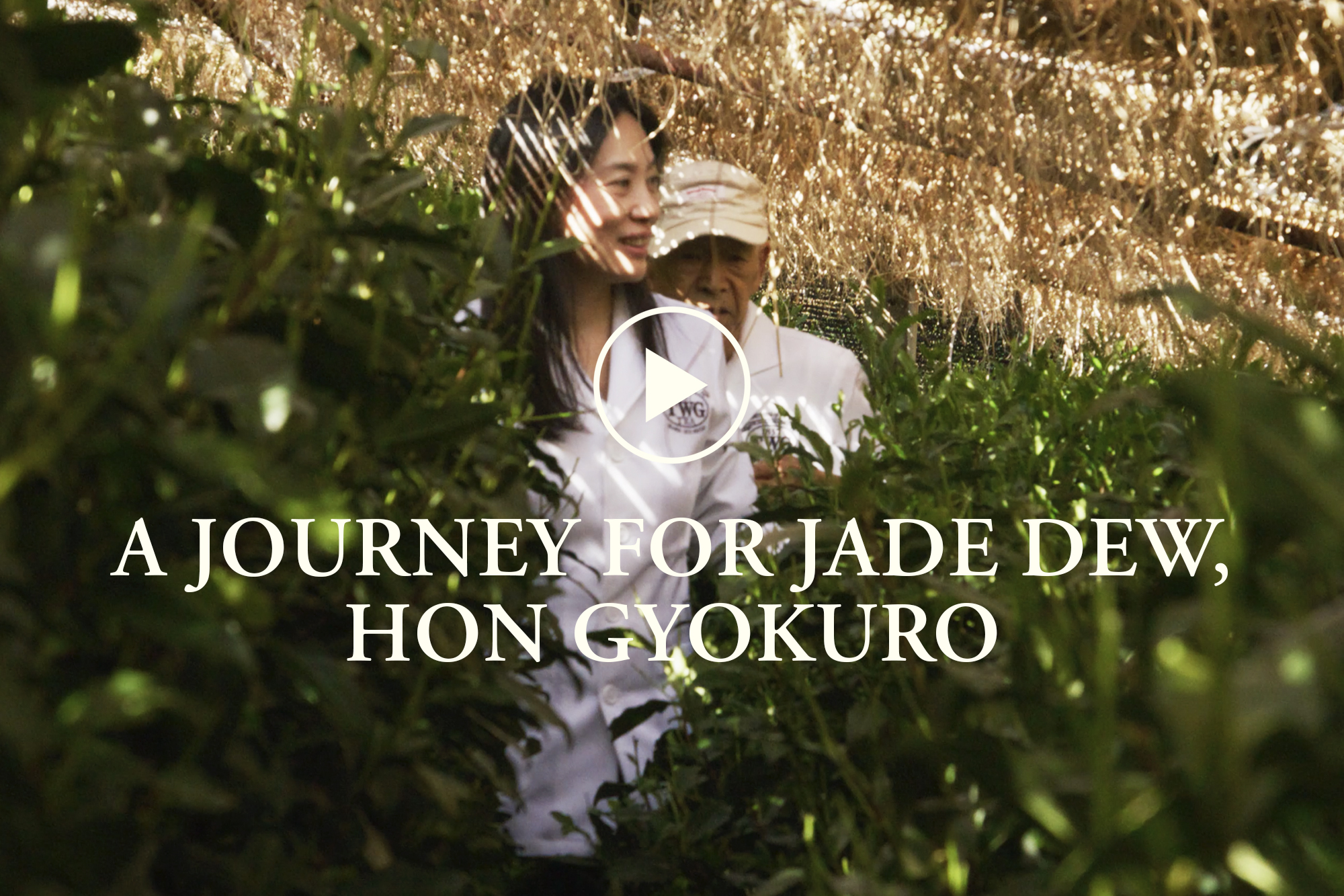 Hon_Gyokuro
